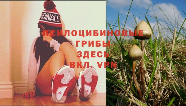 не бодяженный Новодвинск