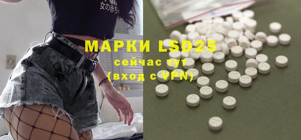 индика Новозыбков