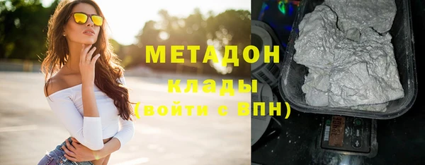 индика Новозыбков