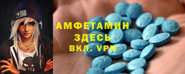 индика Новозыбков