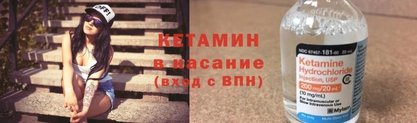 индика Новозыбков
