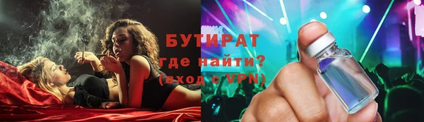 индика Новозыбков