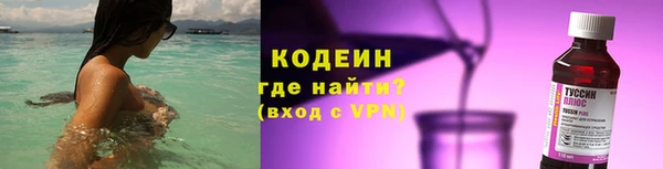индика Новозыбков