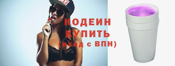 индика Новозыбков