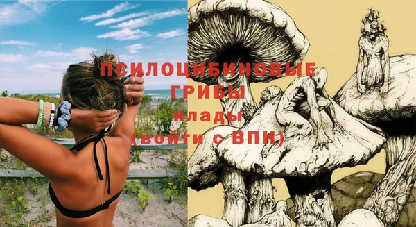 прущие грибы Нязепетровск