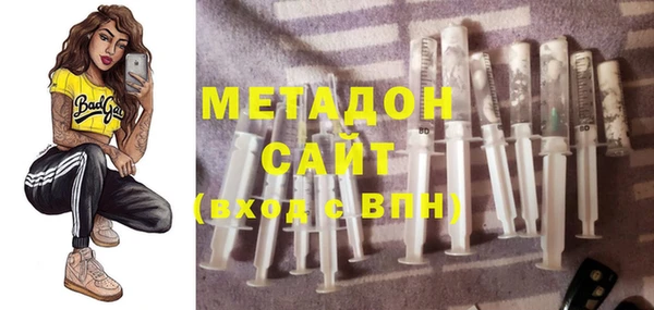 индика Новозыбков