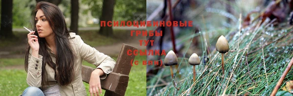 a pvp Няндома