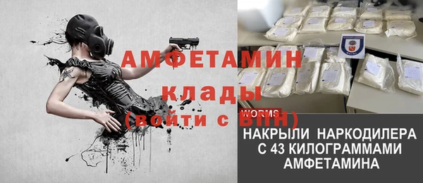 индика Новозыбков