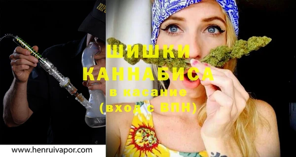 не бодяженный Новодвинск